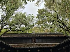 -慈城古县城景区