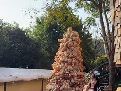 -HERRE·FARM 赫尔露营农场·团建聚会包场