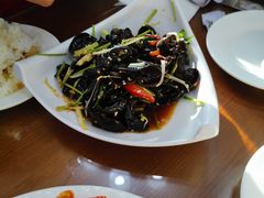 木耳-白魁老号饭庄(交道口店)