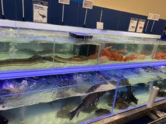 -盒马X会员店(上海森兰商都店)