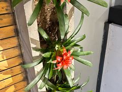 -珺小七铜锅涮肉(桃园路店)