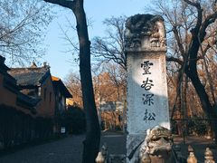 -灵谷景区