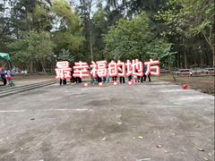 -南宁良凤江国家森林公园