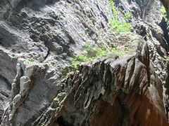 -阿依河景区