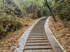 -青龙山国家森林公园