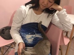 -三花喵·撸猫购宠·宠物生活馆(虹桥南丰城店)