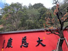 -大慈岩风景区