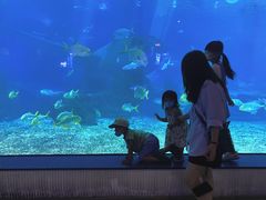 -福州罗源湾海洋世界旅游区