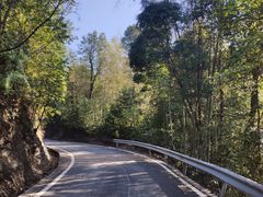 -江西阳明山国家森林公园