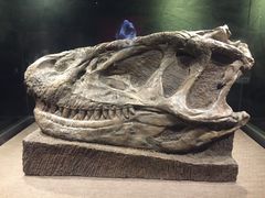 -自贡恐龙博物馆