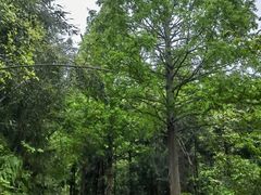 -东钱湖旅游度假区