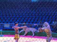 -西安秦岭野生动物园