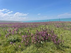 -青海湖国家重点风景名胜区