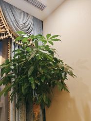 体验后-北京米扬丽格医疗美容·联合丽格鼻整形中心