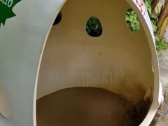 -100蛋泥浆浴