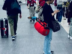 -中部国际机场