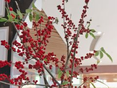 -渔语鱼酸菜鱼新川菜(来福士店)