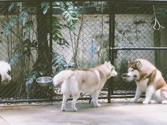 -TrueLove @ Neverland (Husky Cafe)