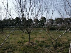 -艾溪湖湿地公园