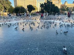 -加泰罗尼亚广场