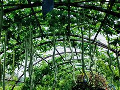 -中国天府农业博览园