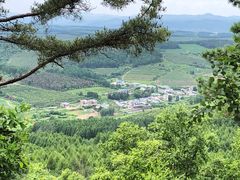 -帽儿山国家森林公园