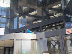 -鄂尔多斯野生动物园