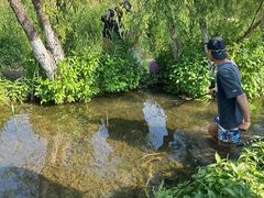 -滇池海埂公园