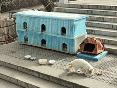 -天毓山庄·餐厅