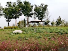 -汉长安城未央宫国家考古遗址公园