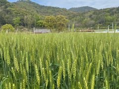-东钱湖旅游度假区