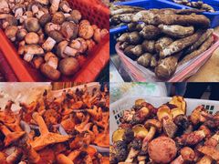 -五里多农博广场