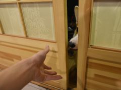 -网鱼网咖(上海静安寺店)