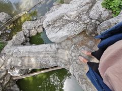 -香山公园-东宫门售票处