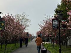 -嬉乐湾休闲旅游区