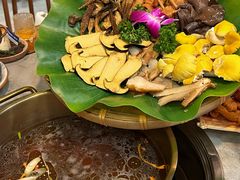 -大理董·董家小厨野生菌火锅(古城旗舰店)