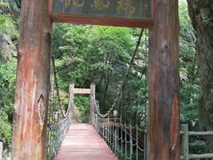 -牛背梁国家森林公园