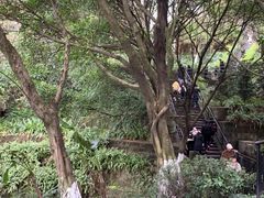 -白公馆