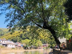 -鹿亭中村