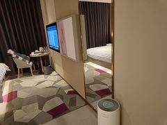 -麗枫酒店(北京西站北广场店)