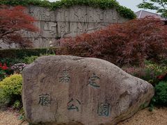 -嘉定紫藤园