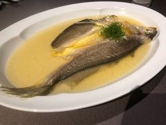 -黄鱼馆Jhouse(外滩店)