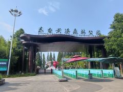 -黄海国家森林公园