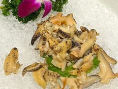 -纯味斑鱼府(中海环宇荟店)