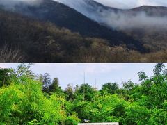 -紫金山山顶公园