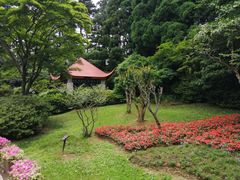 -庐山风景区花径公园