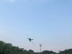 -东莞植物园