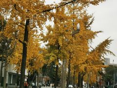 -四川大学(望江校区)