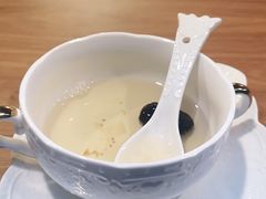 -梵猫·新养生(湛江鼎盛店)