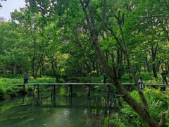 -楠溪江风景名胜区